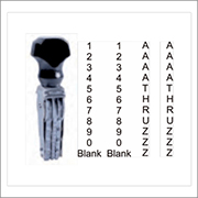 Customize your stamps with CalStamp's 4 Slot Changeable Size Stamp! Featuring 1/4 inch letters and numbers. Order now and get it in 5-7 business days!